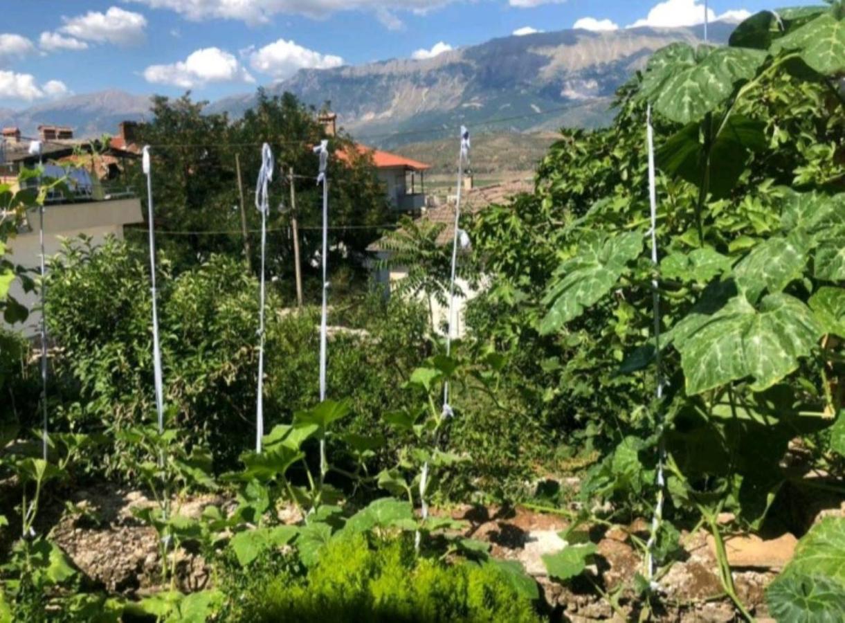 Miziriguesthouse Gjirokastër Eksteriør bilde